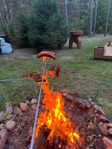 Forest Home Dębowa 18