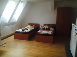 Guest House Hodus