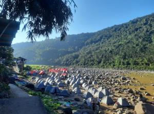 Vicky camps & Adventures