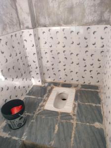 Vicky camps & Adventures