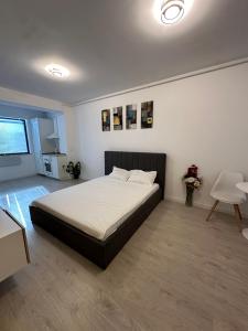 Ivory Concept Studio 65 A