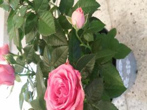 Modern apartment with 2 bathrooms in Lirstal