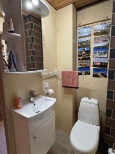 New Sauna House in Nõo near Tartu