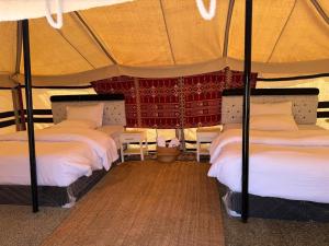 Sand Oasis camp