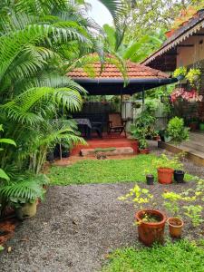Marari Sophy Villa