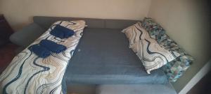 Alex Center Apartment