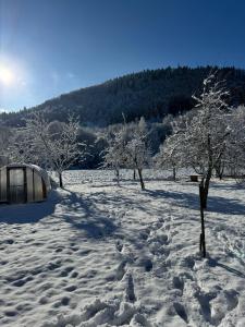 CAN appart spacieux avec grand jardin et terrasse 1 à 8 pers