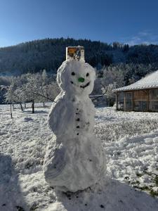 CAN appart spacieux avec grand jardin et terrasse 1 à 8 pers