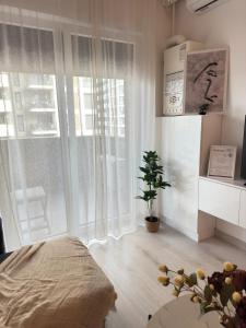 Lovely Cozy Apartments Adora Park Arad