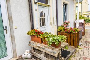 Lauterbach by Baltic Home