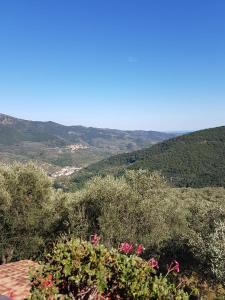 Agriturismo Dinoabbo Apt