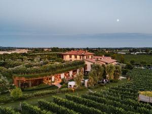 Conti Thun Wine Resort