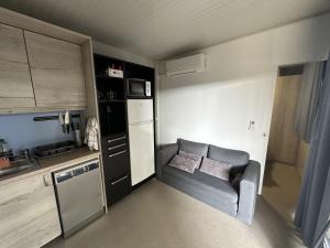 BIG BERRY Kolpa - MIR mobile house