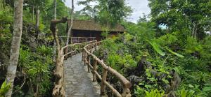 HGNI Valley - Thung Lũng Tự Do