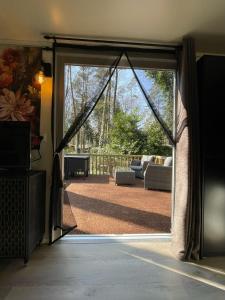 The Butterfly - Forest - Dog - Maastricht