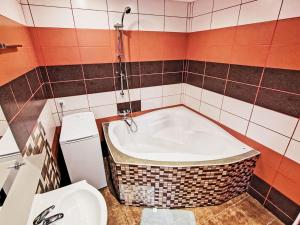 Apartment Riedlovka 2 by Interhome