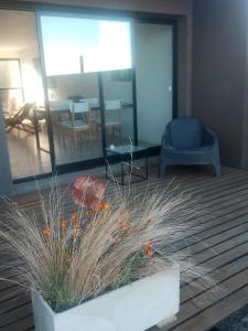 HOMU DEP - Vista al mar