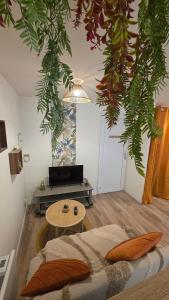 Studio cosy dans le cœur de Castelsarrasin