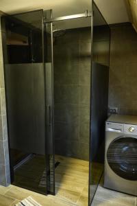 Дім у Карпатах