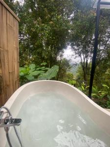 Clovehigh Cabin and Homestay Munduk