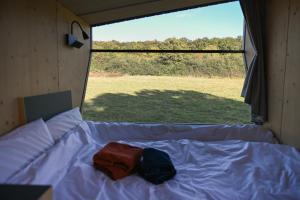 Sleep Space 3 - Green&Tiny Spot Rehburg Schafweide