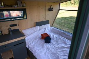 Sleep Space 2 - Green&Tiny Spot Rehburg Schafweide