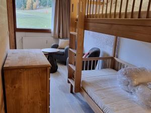 Studio divisible ski aux pieds, idéal pour 4 pers. - FR-1-181-2677