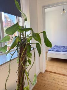 Lys og komfortabel lejlighed tæt på Amager Metrostation