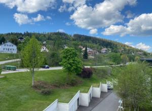 Studio à Gérardmer, les Dryades