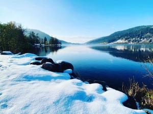 Studio à Gérardmer, les Dryades