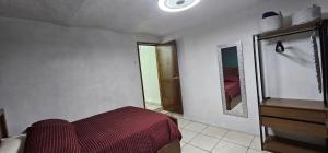 Depa Santiago - Arena Guadalajara