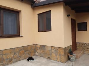 Surčin Grape Vine Apartments