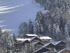 Appartement ski aux pieds, 3 pièces, 6 pers, terrasse sud, près des Carroz - FR-1-572-248