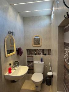 Modern apartment with garden