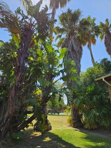 Tranquil Lake Escape - Modern Comfort & Nature