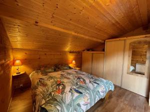 Chalet chaleureux 8 pers, 5 ch, cheminée, proche pistes, Crest-Voland - FR-1-733-5