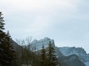 Studio 4 pers au pied des commerces, 450 m des pistes - FR-1-572-256