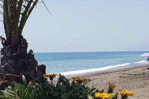 Guesthouse Sleeps 2 - Pool Access