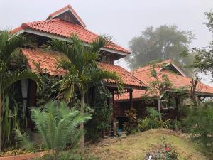 ปันดีเต็มวง Pandeethemwong