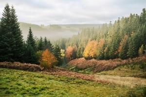 Refuge panoramique en Haute-Loire