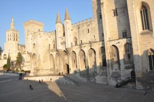 Hotels Hotel du Palais des Papes : photos des chambres