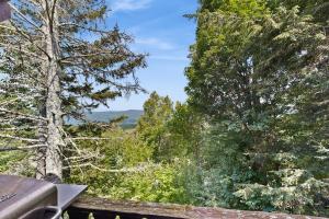 4 Bed 2 Bath Vacation home in Franconia