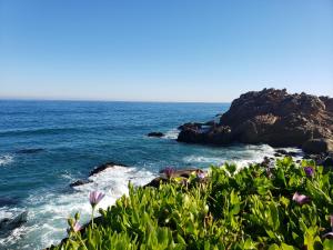 Departamento Reñaca