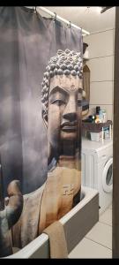 Albatros acceso por escaleras únicamente