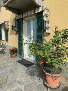 La casa di nonna Rosmi