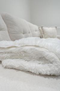 Two-bedroom flat near central London- Oxford Street- London Eye