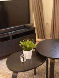 Sunny Stay 2BR in Prime Location