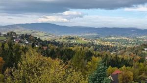 Agroturystyka Koronkowe Zacisze