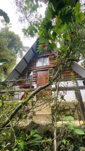 Cabañita del bosque de la cumbre de san Bartolo Milpas Altas