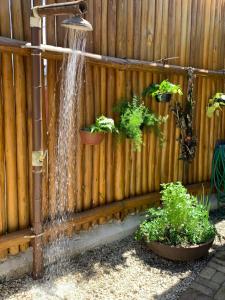 chalé Itamambuca -suite 1